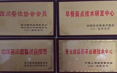 成都餐飲成人抖音在线下载哪家好