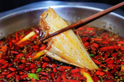 耗兒魚成人抖音在线下载